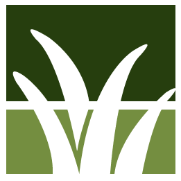 Kailua Kona Lawn Clean Up