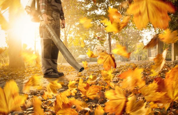 Leaf Blowing Service in Kailua Kona