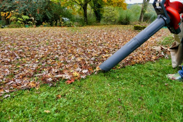 Leaf Vacuuming Service in Kailua Kona
