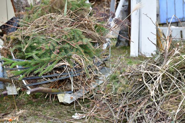 Yard Debris Removal in Kailua Kona