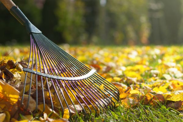Leaf Raking Service in Kailua Kona
