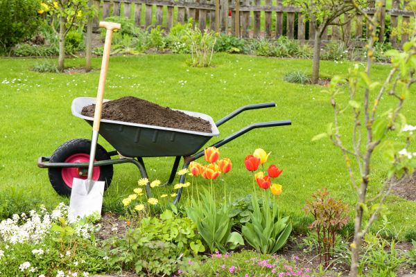 Cost of Spring Yard Cleanup in Kailua Kona