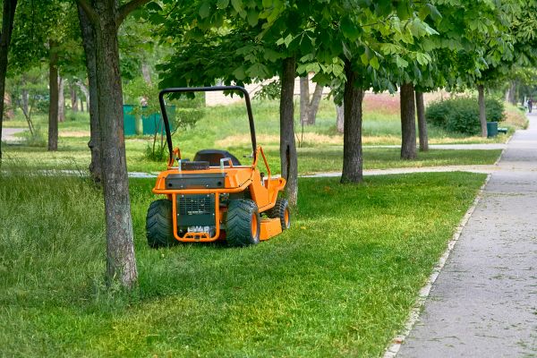 Cost of Landscaping Cleanup Service in Kailua Kona