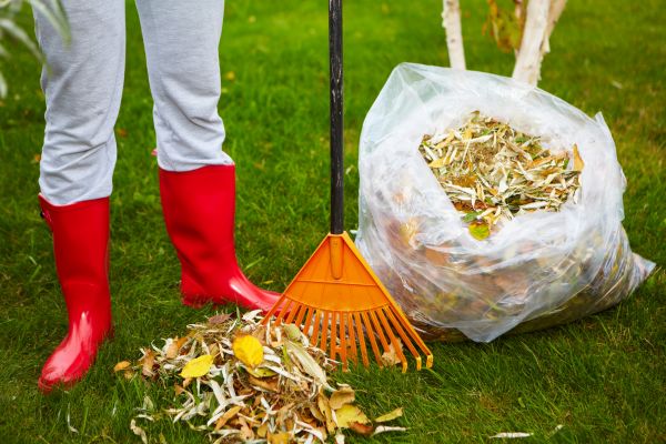 Cost of Leaf Disposal Service in Kailua Kona