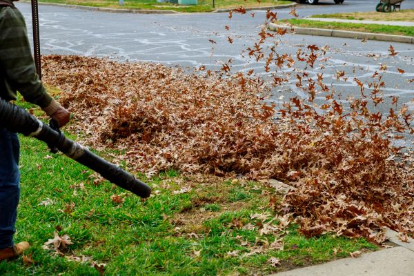 Cost of Garden Leaf Removal in Kailua Kona