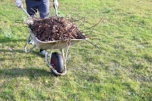 Cost of Yard Brush Removal in Kailua Kona