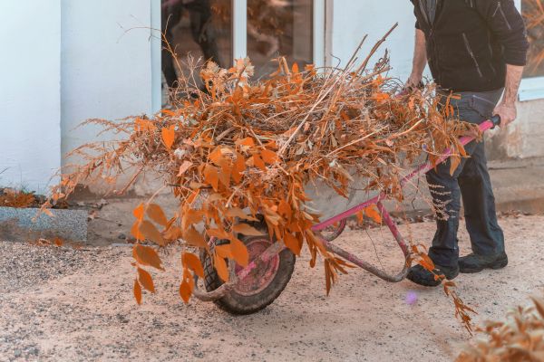 Cost of Lawn Debris Cleanup in Kailua Kona