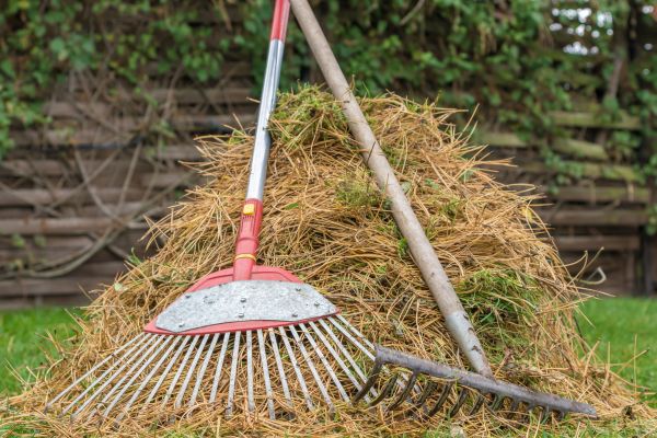 Cost of Pine Straw Clearing in Kailua Kona