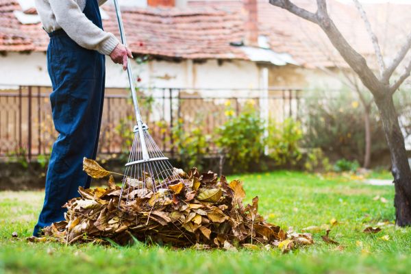 Cost of Spring Lawn Cleanup in Kailua Kona