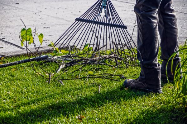 Cost of Yard Debris Cleanup in Kailua Kona