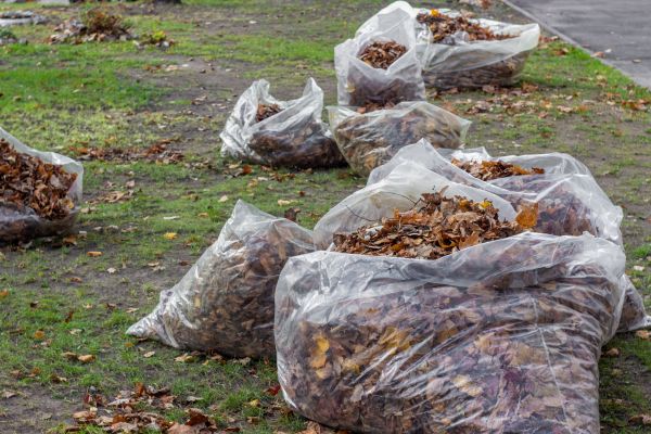 Cost of Leaf Pile Disposal in Kailua Kona