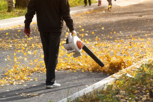 Commercial Leaf Removal in Kailua Kona