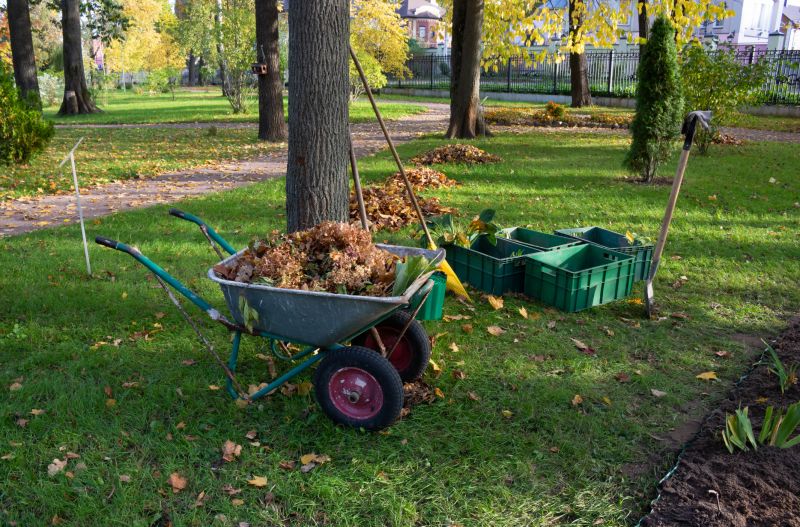 Fall Yard Cleanup Service
