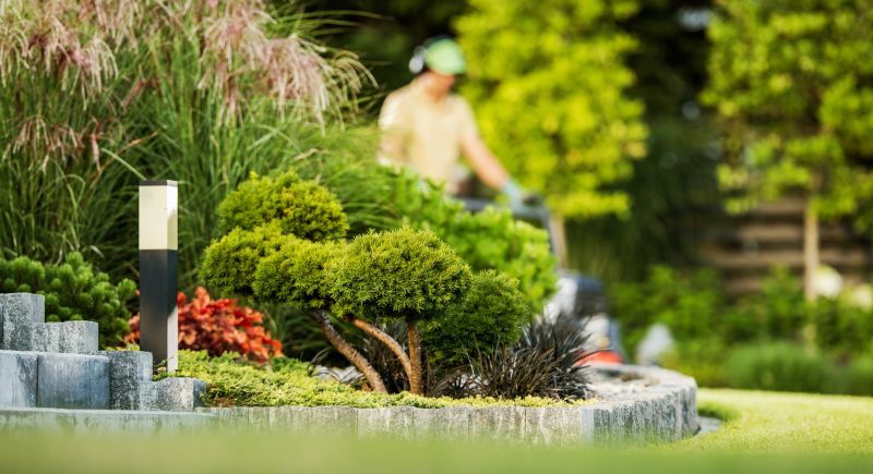 Customized Lawn Care Solutions